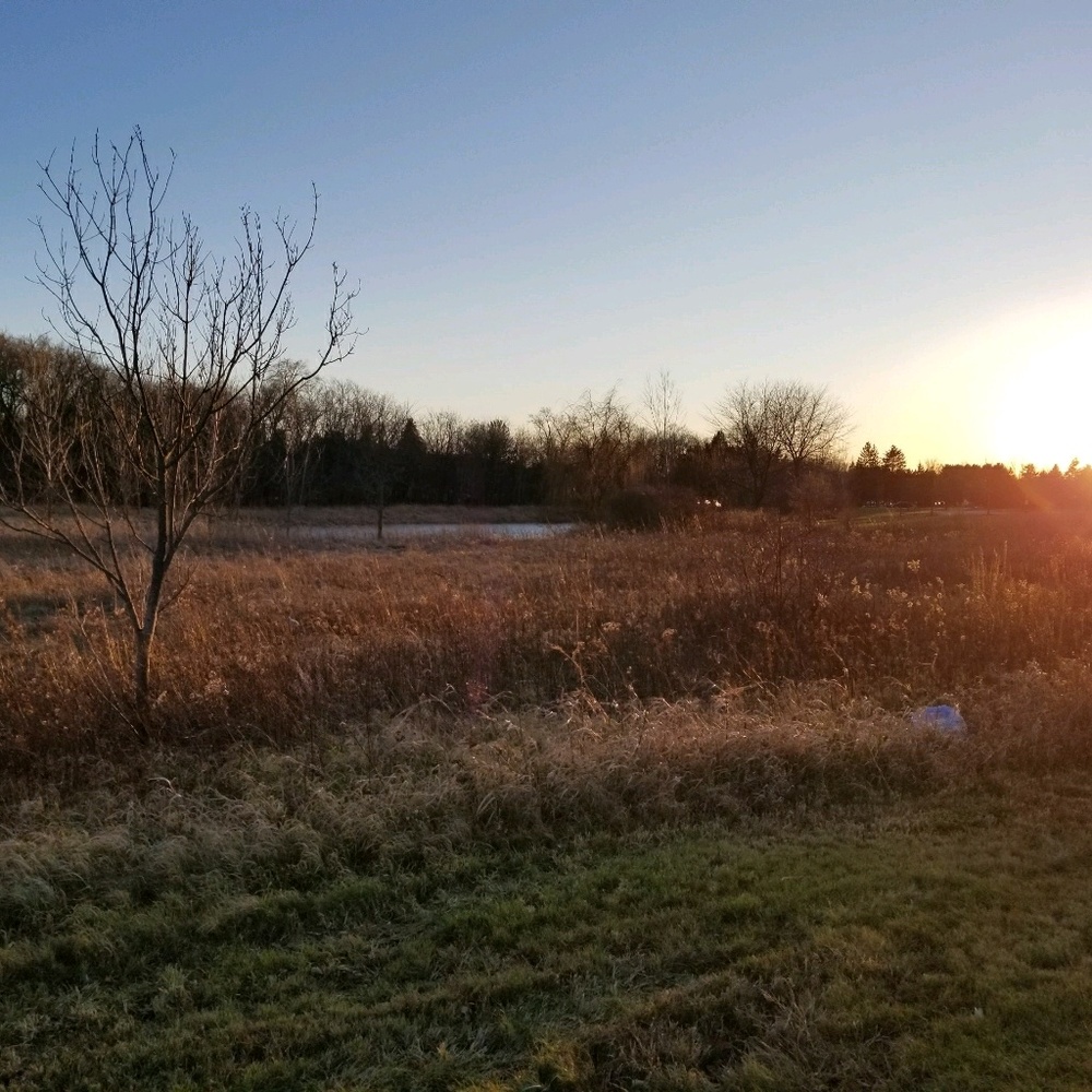 Meet your Posher, Holly